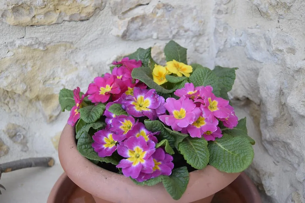 Uliwood Hotel Caltanissetta Guest house