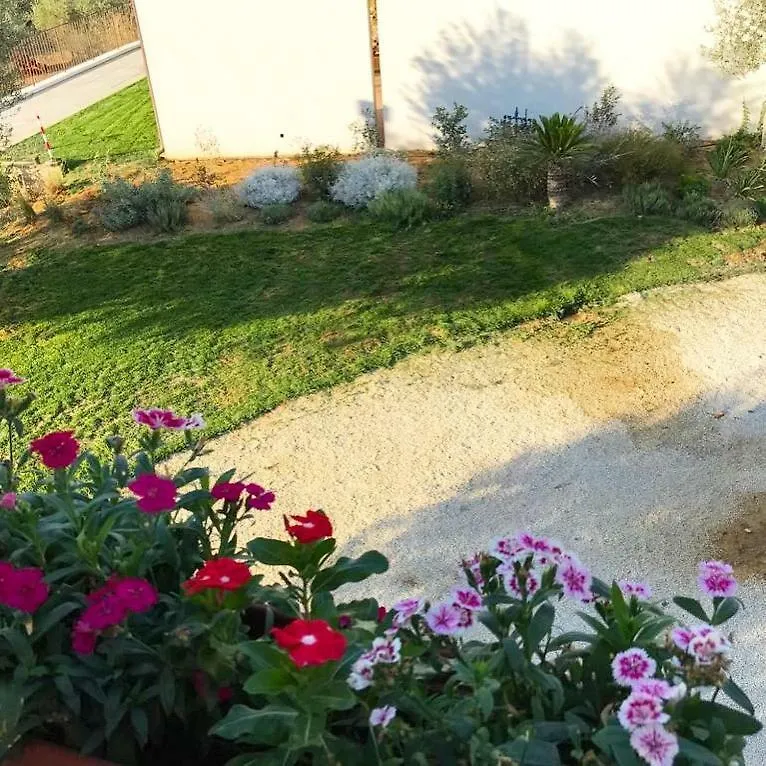 Guest house Uliwood Hotel Caltanissetta